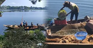 কাপ্তাই হ্রদ থেকে বছরে ২০ হাজার টন মাছ উৎপাদন, বাড়ছে রাজস্বের সম্ভাবনা